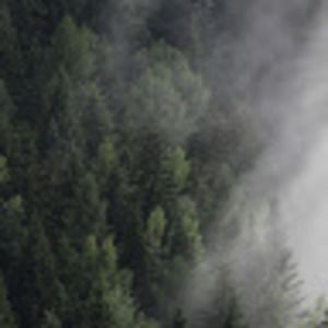 Meet your Posher, Dylan